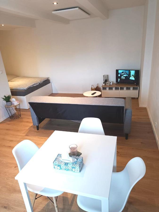 Zoo Karlovarska Apartment เปิลเซน ภายนอก รูปภาพ